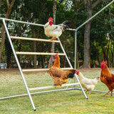 PETSFIT Square Chicken Roosting Perch, Perfect for Backyard Poultry, Chicken Perch for Coop, Easy to Assemble&Clean, Farm Chicken Toys (55" L x 40" W) Petsfit