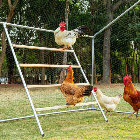 PETSFIT Square Chicken Roosting Perch, Perfect for Backyard Poultry, Chicken Perch for Coop, Easy to Assemble&Clean, Farm Chicken Toys (55" L x 40" W) Petsfit