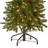 National Tree Company Artificial Pre-Lit Slim Christmas Tree, Green, Kingswood Fir, White Lights, Includes Stand, 4.5 Feet National Tree Company