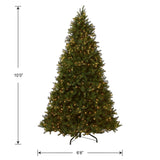 National Tree Company Pre-lit 'Feel Real' Artificial Giant Downswept Christmas Tree, Green, Douglas Fir, White Lights, Includes Stand, 10 feet National Tree Company