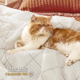 Bedsure Cream Throw Blanket for Bed - White Decorative Woven Throw Gifts with Tassels, Soft and Lightweight Farmhouse Blankets for Couch and Sofa, 50x60 Inches Bedsure