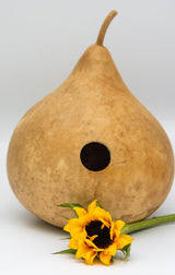 Gourd Birdhouse, Unfinished, Craft Ready, Box of 3 Gourdaments