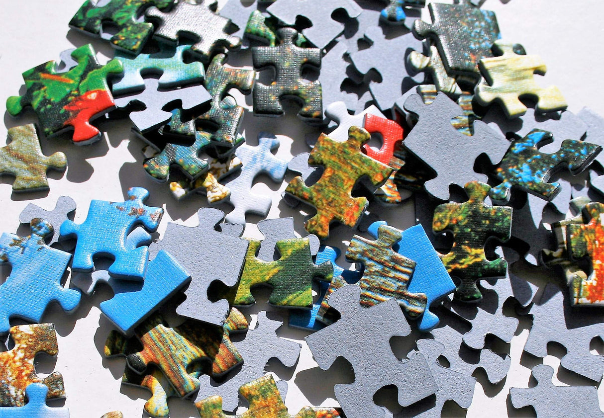 Trefl 2000 Piece Jigsaw Puzzles, New Land Puzzle, Earth Puzzle, Historical Puzzle, Old World Puzzle, Adult Puzzles, 27095 Trefl