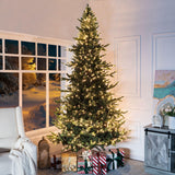 Naomi Home 9ft Nordic Christmas Tree with Lights, Realistic Charming Christmas Tree Prelit with 2106 Branch Tips, 1100 Warm Lights and Metal Stand, Aritificial Christmas Tree Naomi Home