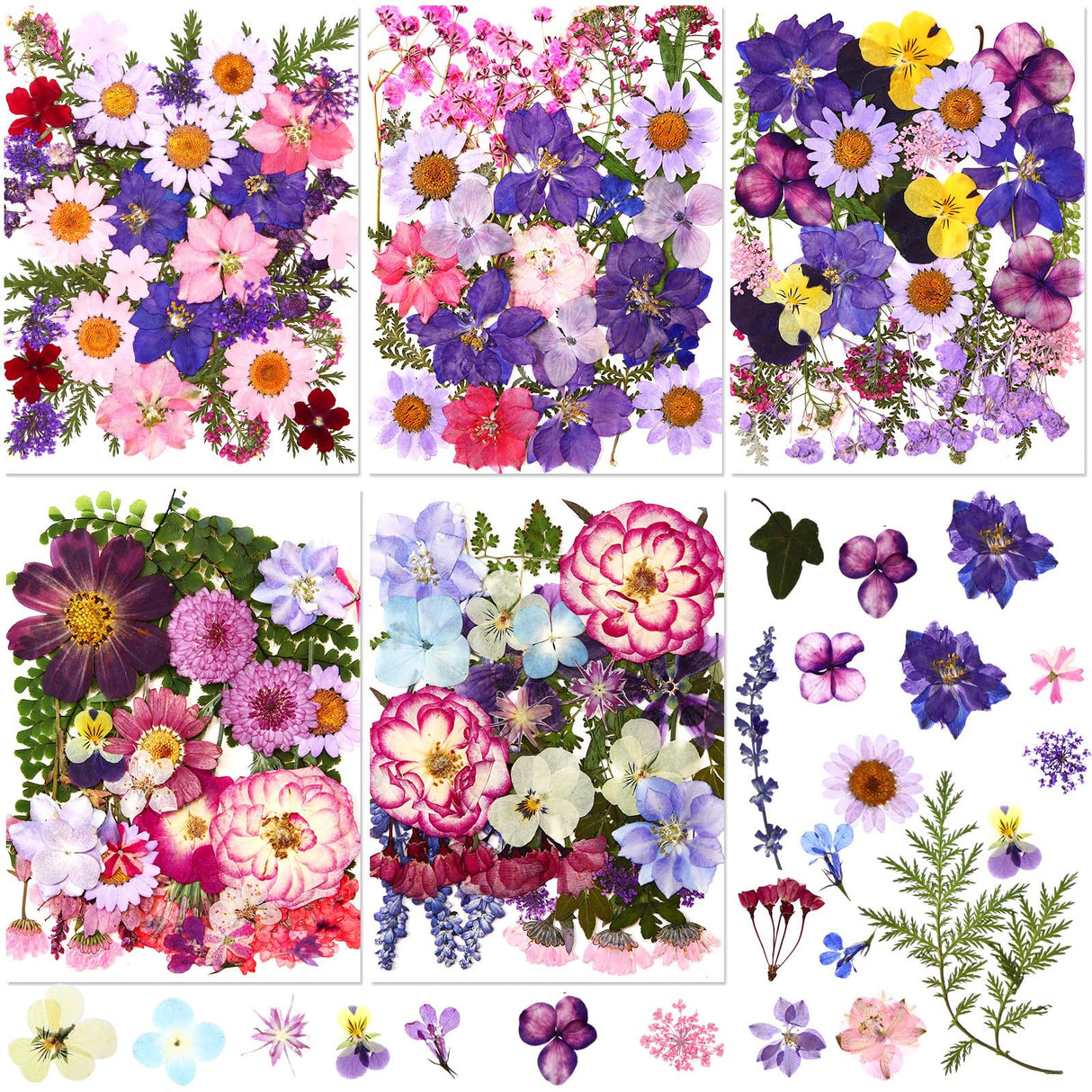 Nuanchu 167 Pcs Real Dried Pressed Flowers Natural Dried Flowers Colorful Dry Daisy Flowers Mixed Dried Flowers for DIY Candle Resin Nails Jewelry Pendant Crafts Floral Art (Purple) Nuanchu