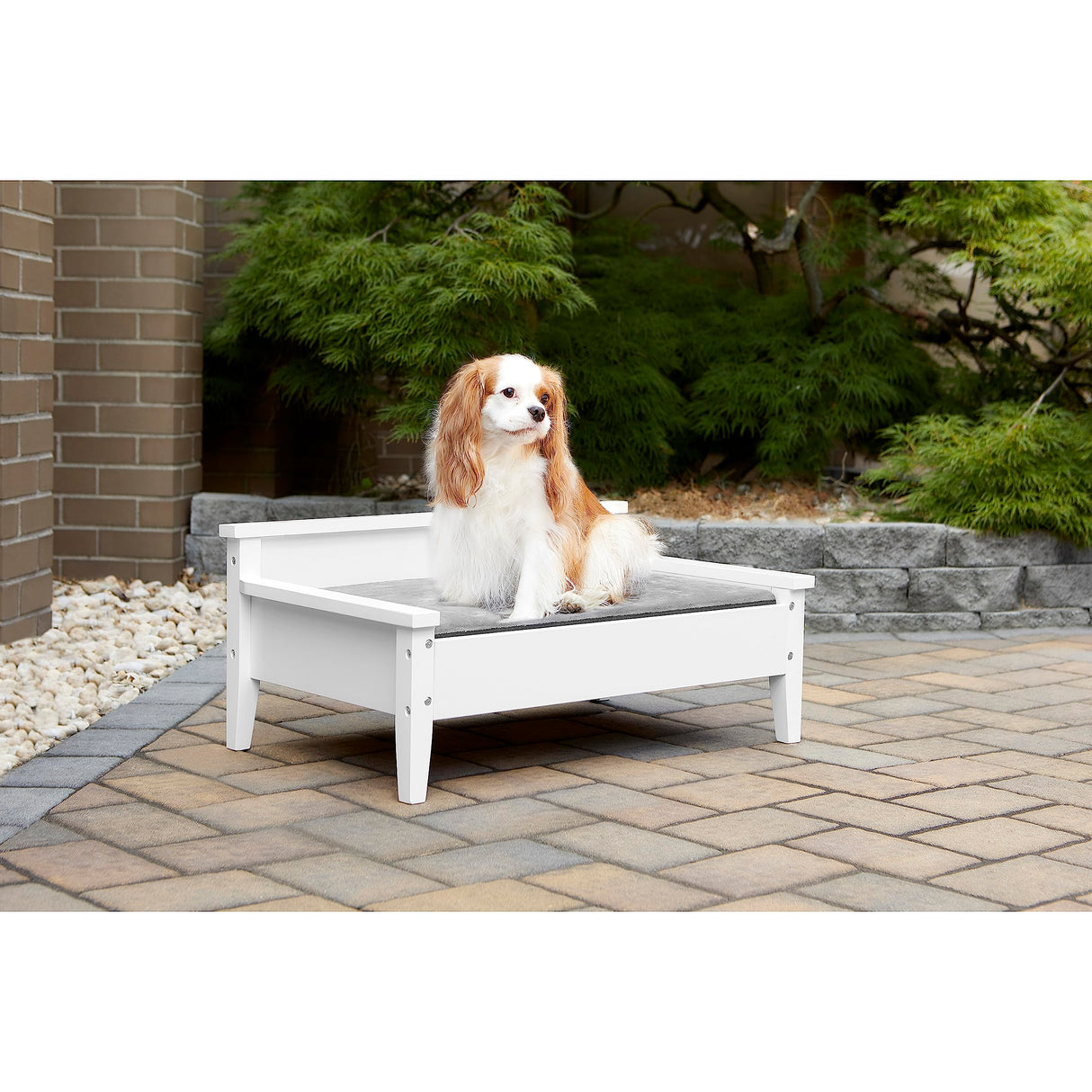 TailZzz Wooden Dog Bed with Water-Resistant Mattress, Small to Medium Elevated Pet Bed with Calming Pet Mattress, Greenguard Gold Certified, Modern Dog Couch, Winston, White TailZzz
