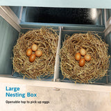 Large Wood Chicken Coop for 2-6 Chickens, 122" Chicken Coop with Nest Box, Removable Tray & UV Resistant Roof, Outdoor Hen House with Sliding Door and Ramp Mochalight