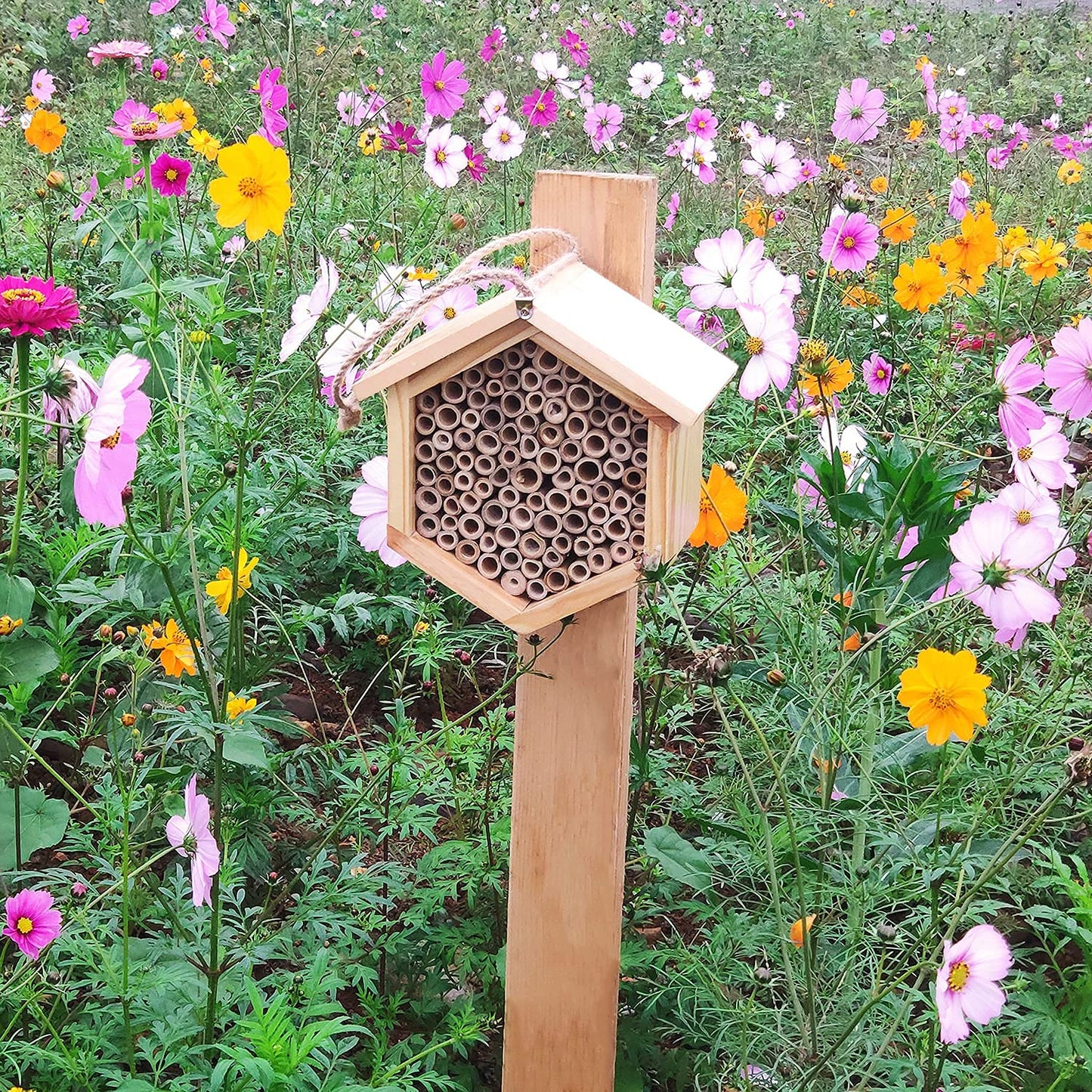 Mason Bee House Native Bee Hive Hexagon Bee House Natural Handmade Wooden Mason Bee Box Habitat Home Hotel with Bamboo Tubes -Attracts Peaceful Bee Pollinators to Enhance Your Garden's Produc - WoodArtSupply