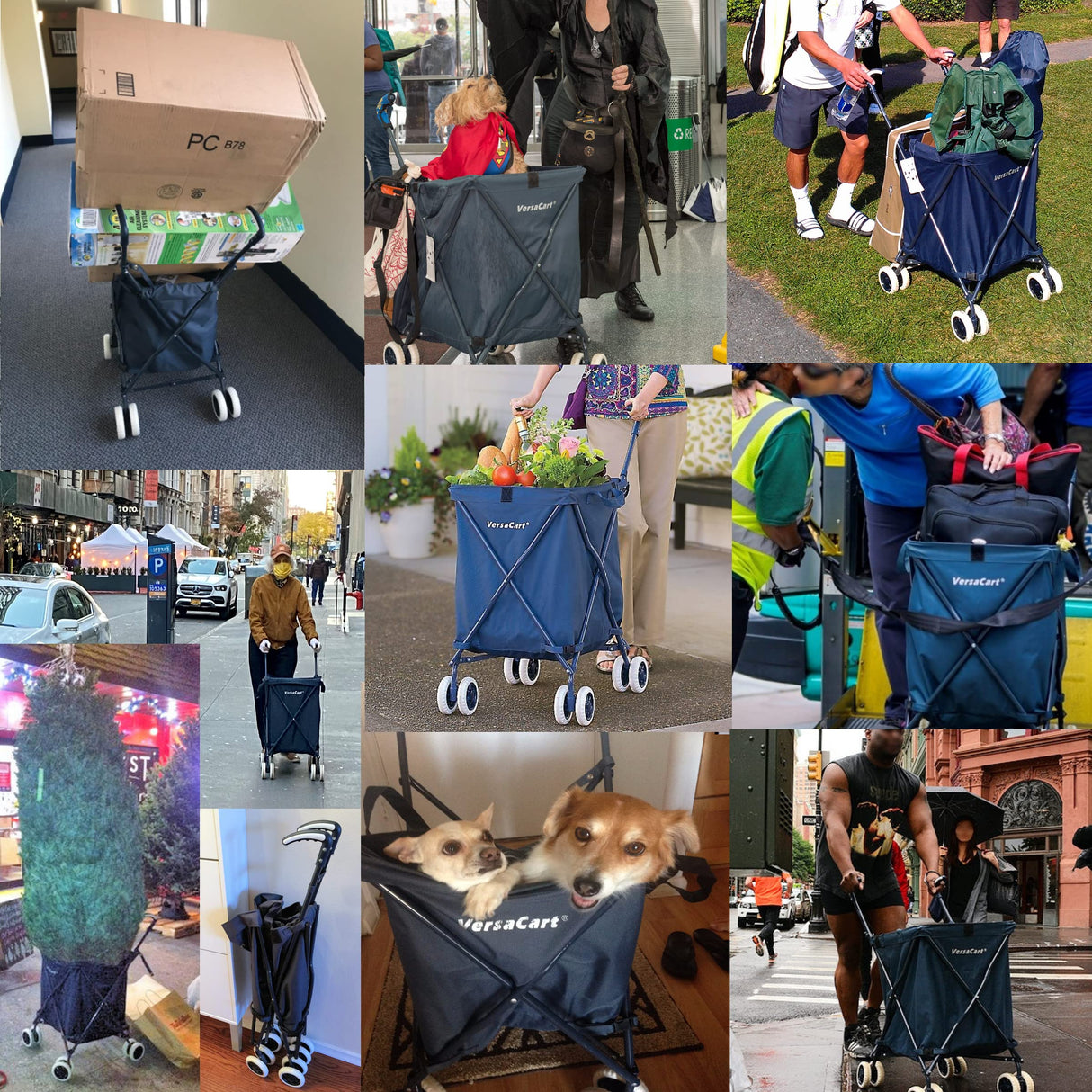 VersaCart Transit -The Original Patented Folding Shopping and Utility Cart, Water-Resistant Heavy-Duty Canvas with Cover, Double Front Swivel Wheels, Compact, Transport Up to 120 Pounds, Blue Versacart