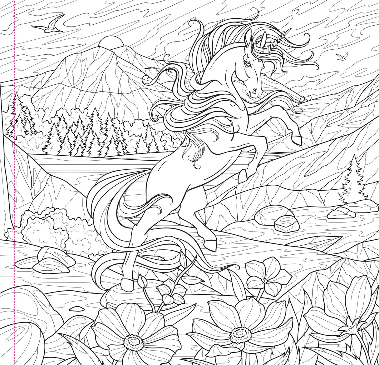 Enchanted Kingdom Adult Coloring Book (31 one-sided designs on thick paper) (Artist's Coloring Books) PETER PAUPER PRESS
