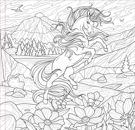 Enchanted Kingdom Adult Coloring Book (31 one-sided designs on thick paper) (Artist's Coloring Books) PETER PAUPER PRESS