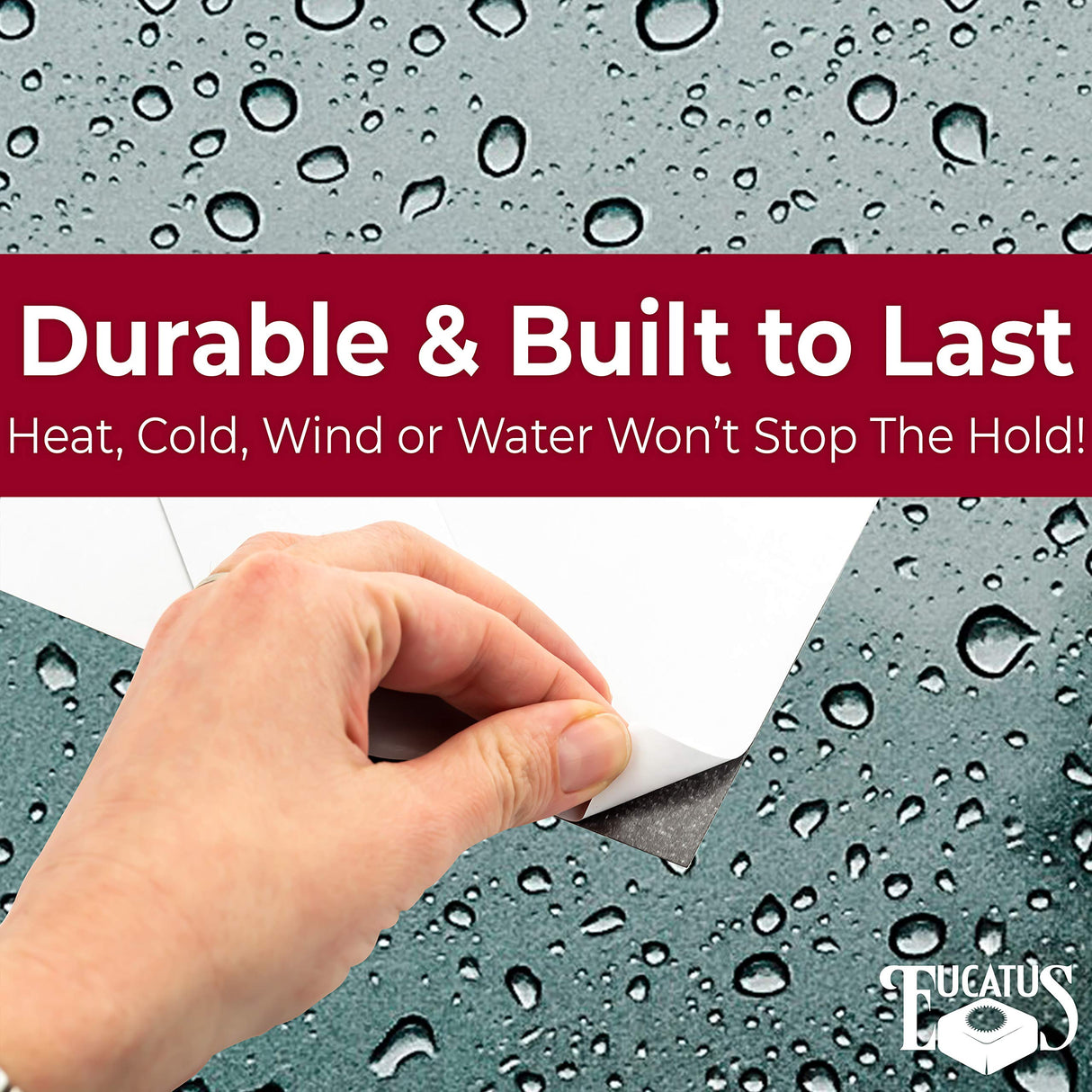 Magnetize Memories with 8x10 in Adhesive Photo Magnets 10 pack. Peel and Stick Magnetizers Turn School Crafts, Family Pictures or Kids Art Into Durable, Flexible Gifts. Custom Sheets for Fridge or Car EUCATUS BEST PRODUCTS & GIFTS