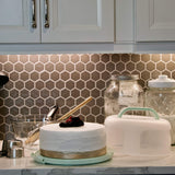 Top Shelf Elements Round Cake Carrier Two Sided Cake Holder Serves as Five Section Serving Tray, Portable Fits 10 inch Cake, Box Comes With Handle, Container Holds Pies (Green) Top Shelf Elements