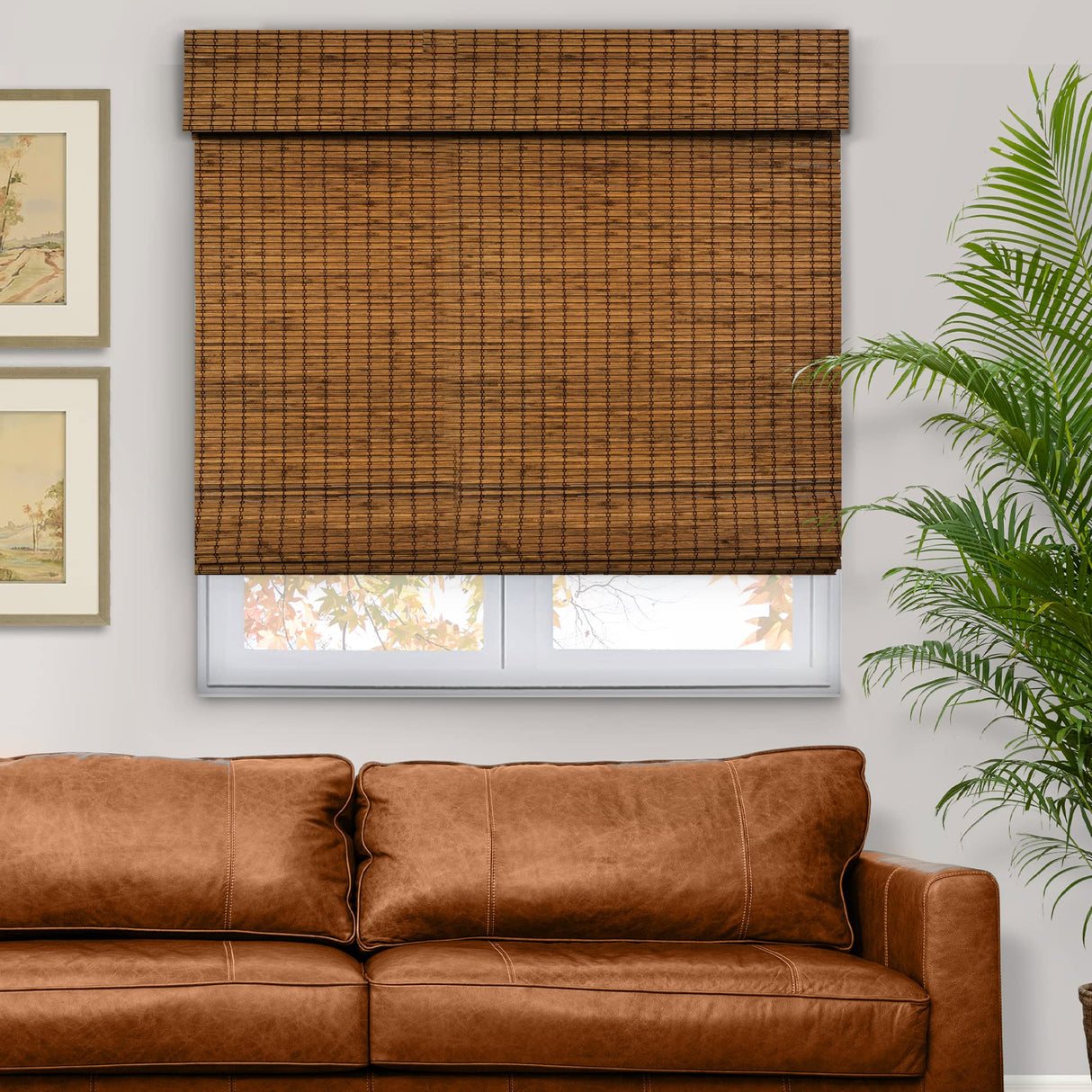 CHICOLOGY Bamboo Roman Shades - Smart Choice Eco-Friendly Light Filtering Blinds for Windows, Premium Quality, Ideal for Home, Frost, 33" W X 64" H CHICOLOGY