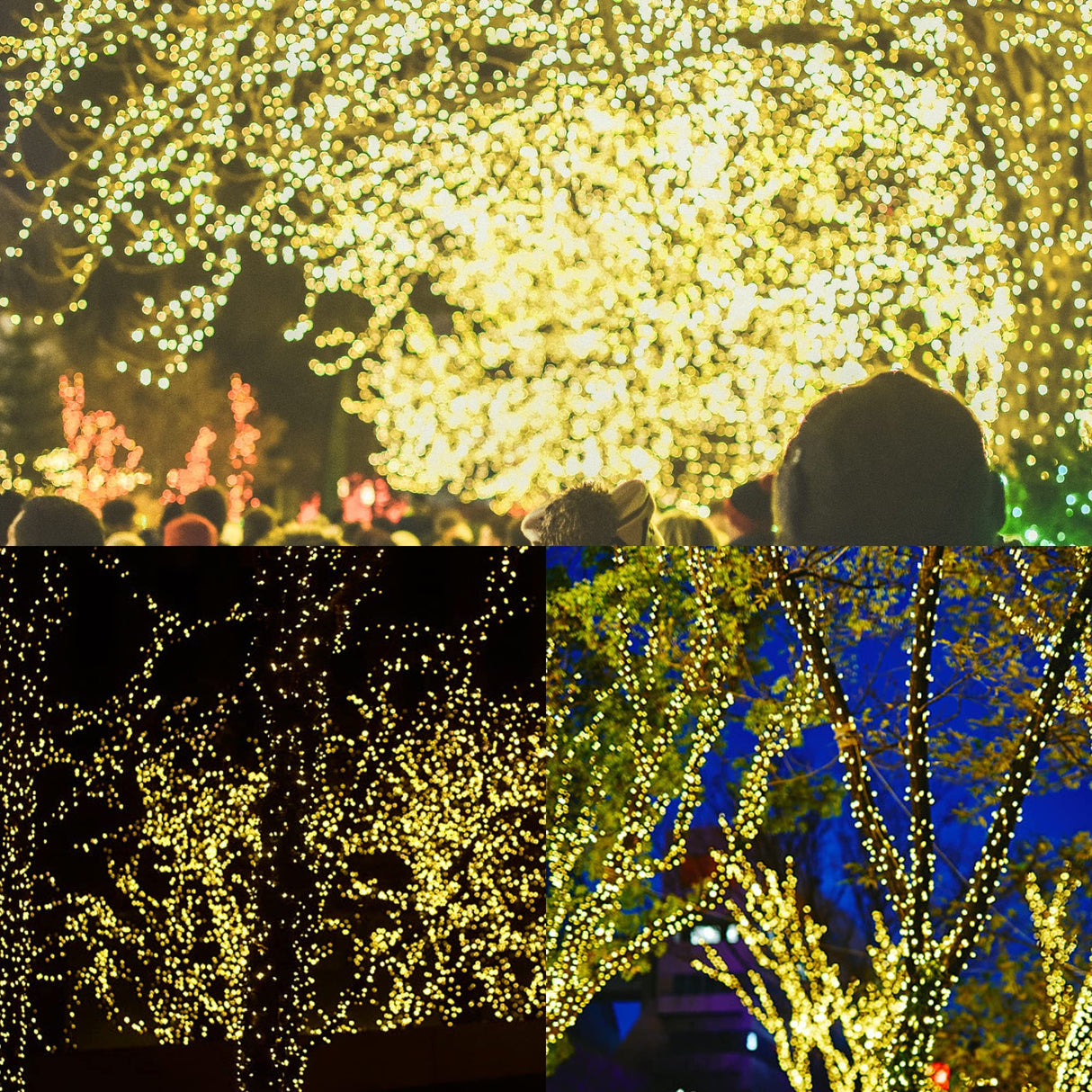 WATERGLIDE Extra Long 328 FT Fairy String Lights, 1000 LED Outdoor Christmas Lights, Green PVC Copper Wire Lights, Plug in 8 Modes & Waterproof for Xmas Tree Holiday Wedding Party Decor, Warm White WATERGLIDE