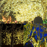 WATERGLIDE Extra Long 328 FT Fairy String Lights, 1000 LED Outdoor Christmas Lights, Green PVC Copper Wire Lights, Plug in 8 Modes & Waterproof for Xmas Tree Holiday Wedding Party Decor, Warm White WATERGLIDE