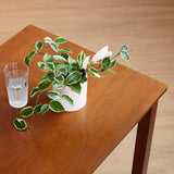 Livinia Seattle 5-Piece Wooden Dining Table Set for 4, Modern Farmhouse Kitchen Dining Room Set with Solid Wood Ladder Back Chairs for Small Space (Antique) Livinia