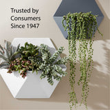 Krylon K05515007 COLORmaxx Acrylic Clear Finish for Indoor/Outdoor Use, Gloss Crystal Clear , 11 Ounce (Pack of 1) Krylon