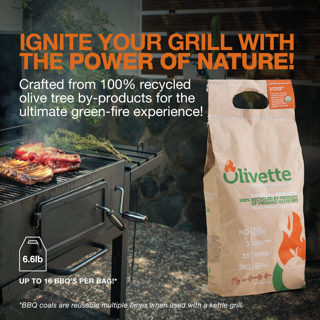 Organic Charcoal Briquettes by Olivette, Reusable Charcoal for Grilling, USDA Certified, Recycled Olive Tree Byproduct, Ready to Light, 6.6 lb. Bag Equal to 20 lb. of a Regular Charcoal, 2-Bag Pack Olivette