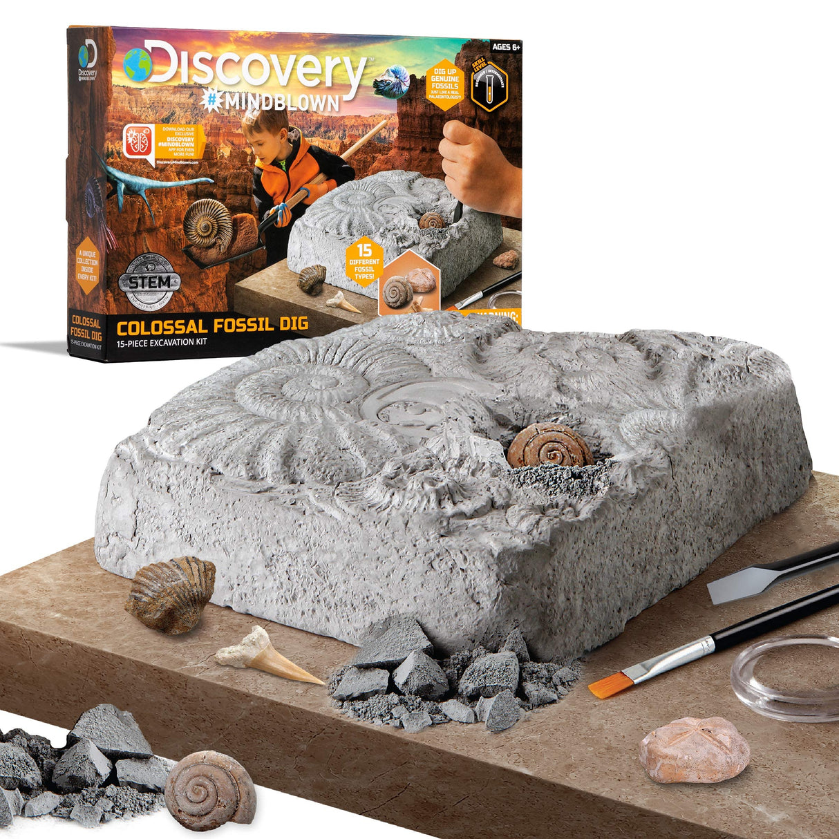 Discovery™ Colossal Fossil Dig Set, 15-Piece Archeology Excavation Kit, Uncover Real Shark Teeth & More, Every Fossil Set is Unique, STEM Toys for Boys and Girls Discovery Kids