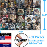 Think2Master Cute Cats 250 Pieces Jigsaw Puzzle Featuring heartwarming Kittens and Cats. Fun Toy for Kids, School & Families. Great Gift for Boys & Girls Ages 8+. Size: 14.2” X 19.3” THINK2MASTER