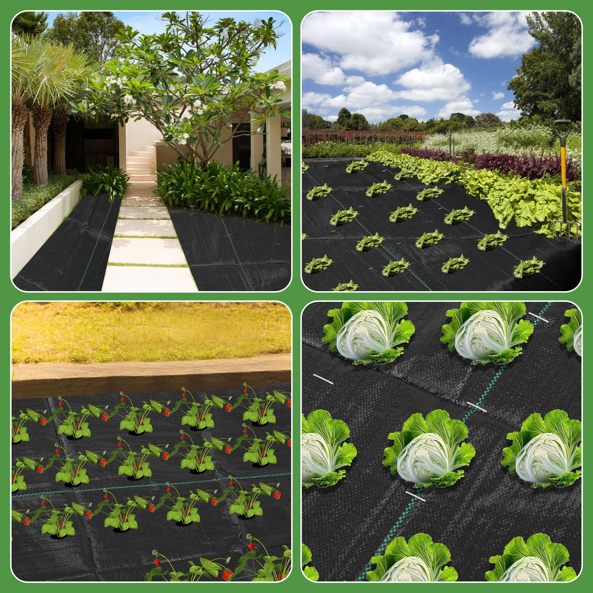 1.3FT x 50FT Weed Barrier Landscape Fabric Heavy Duty, 3.2oz Premium Gardening Weed Control Mat with 10 U-Shaped Securing Pegs, Ground Cover for Garden Beds, Farming, Underlayment, Commercial Driveway Kijamilee