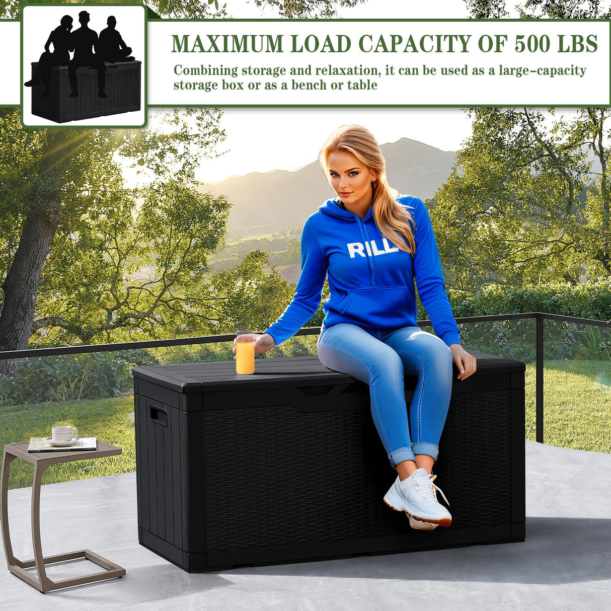 Greesum 100 Gallon Resin Deck Box Lockable Large Outdoor Storage Boxes for Garden Tools, Patio Furniture Cushions, Pool Supplies, Black Greesum