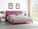 King Upholstered Platform Bed Frame with 48" Tall Adjustable Headboard - Button Tufted Suede Velour Bed- Wood Slat Support with Storage Space - No Box Spring Needed - Pink - OLIVER & SMITH - Princeton OLIVER & SMITH SINCE 1921