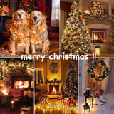 Hopolon Clear Christmas Lights Set 2PACK 50Count 13Feet Incandescent Bulb Mini String Lights for Indoor Christmas Tree Garland Birthday Wedding Festival Decor, Warm White Hopolon