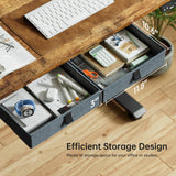 Agilestic Standing Desk with 2 Drawers, Adjustable Height Electric Desk with Storage, 63 x 24 Inches Sit Stand Up Computer Table for Work Office Home, Rustic Brown Agilestic