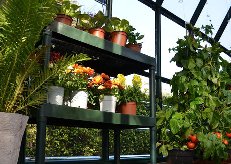 Palram - Canopia Rion 2-Tier Workbench Steel Greenhouse Potting and Nursery Work Table Shelf for Garage, Garden, and Green Houses, Shelves for Plants and Equipment 31.4''x15.7''x33.4'' (Forest Green) Palram