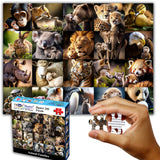 Think2Master Animal Families 250 Pieces Jigsaw Puzzle Featuring heartwarming Parent and Child Pairs. Fun Toy for Kids, School & Families. Great Gift for Boys & Girls Ages 8+. Size: 14.2” X 19.3” THINK2MASTER