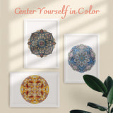 ColorIt Mandalas Volume VI Spiral Bound Adult Coloring Book with 50 Mandala Patterns for Relaxation and Stress Relief - Includes Perforated Pages, Thick Paper, Hardback Covers, and Blotter Page ColorIt