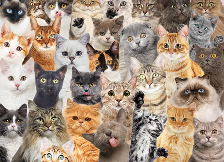 PETER PAUPER PRESS All The Cats 500 Piece Jigsaw Puzzle PETER PAUPER PRESS