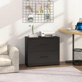 2-Drawer Wood Lateral File Cabinet, Filing Cabinets Anti-Tilt Mechanism for Home Office Storage Organization, Accommodates Letter/A4/Legal Size, New Heightened Drawer Design Home Office (Black) Panana