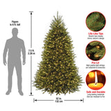 National Tree Company Pre-Lit Artificial Full Christmas Tree, Green, Dunhill Fir, White Lights, Includes Stand, 7.5 Feet National Tree Company