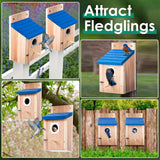 Dreyoo 2 Pack Cedar Bluebird Box Houses for Outside, 1-1/2'' Entrance Hole Wooden Bird Houses with Metal Guard, Secure Latch, Fledgling Grooves, Air Vents for Bluebird Wren Swallow Dreyoo