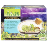 Grow Your Own Succulent Star Plant Mouse with Our Glass Terrarium Starter Kit - Fun and Easy to Grow with Complete Supplies - Plant A Mouse Garden That Will Last for Years - Great for Home Or Office Unique Gardener