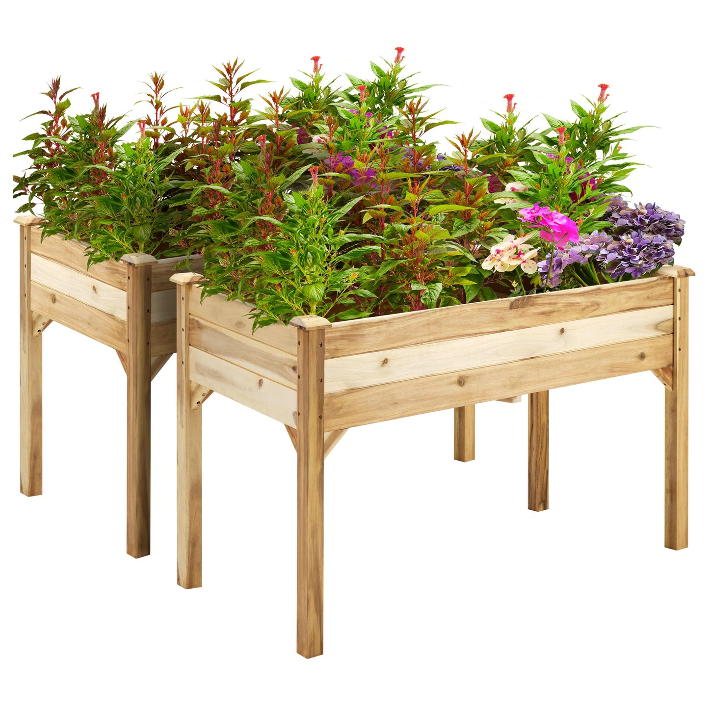 PrimeZone 2PCS 48 x 24 x 30 in FSC-Certified Acacia Wood Raised Garden Bed - Elevated Planter Box with Legs, Plant Stand Outdoor for Herbs, Vegetables, Flowers in Backyard, Patio, Balcony, Gardening