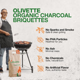 Organic Charcoal Briquettes by Olivette, Reusable Charcoal for Grilling, USDA Certified, Recycled Olive Tree Byproduct, Ready to Light, 6.6 lb. Bag Equal to 20 lb. of a Regular Charcoal, 2-Bag Pack Olivette