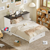 PAKASEPT Queen Murphy Bed - Murphy Cabinet Bed with Storage & Charging Station, Farmhouse Bed Frame with Foldable Panel and Hidden Space, for Living Room, Guest Bedroom PAKASEPT