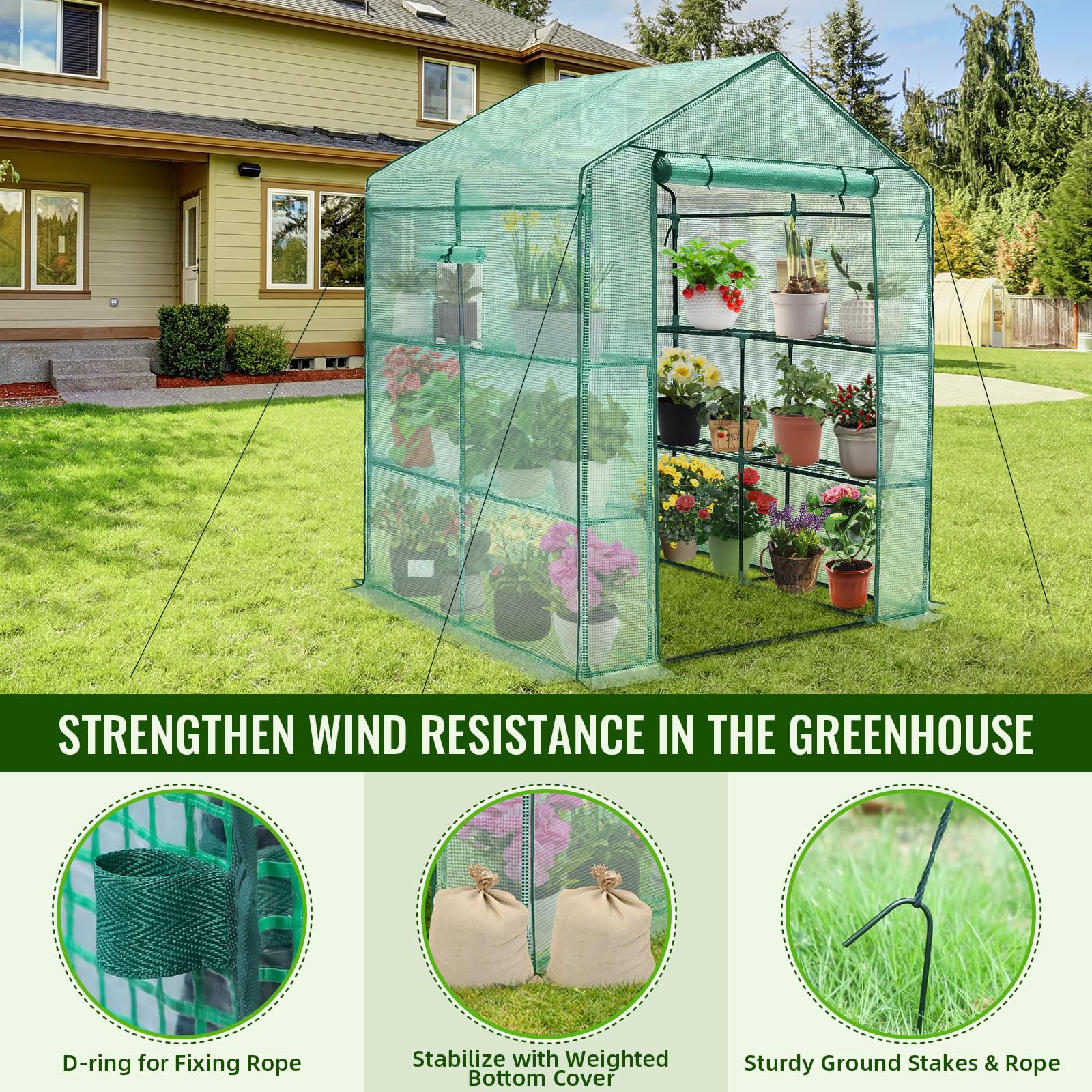 Greengro Greenhouse, 56 x 56 x 75'' Greenhouses for Outdoors, Durable Green House Kit with Window, Thicken PE Cover, 3 Tiers 8 Shelves, Heavy Duty Walk in Green Houses for Indoor Backyard Out - WoodArtSupply