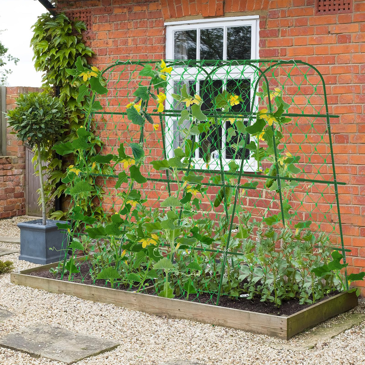 65"×65" Upgrade Heightened Cucumber Trellis for Raised Bed,U-Shape Garden Trellis for Climbing Plants Outdoor,Adjustable Metal Arch Vegetables Trellis with Climbing Net for Tomato,Bean,Grape,Zucchini WLLEYAY