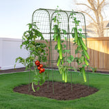 HIRALIY Cucumber Trellis for Climbing Plants Outdoor, 5 ft Tall Metal Garden Trellis, Arch Tunnel for Tomato Grape Vine Vegetables, Plant Support Archway for Garden Raised Bed, Green HIRALIY