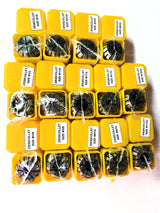 ER20 Spring Collet Set for CNC Engraving Machine and Milling Lathe Tool Workholding Engraving Collets(ER20-14pcs) FLS