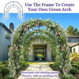 Multi-Size Large Garden Support Arch Frame Climbing Plant Arch Arbor for Flowers/Fruits/Vegetables (6.5ft x 7ft x 7.2ft) BenefitUSA