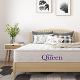 NapQueen 8 Inch Innerspring Queen Size Medium Firm Memory Foam Mattress, Bed in a Box,White NapQueen