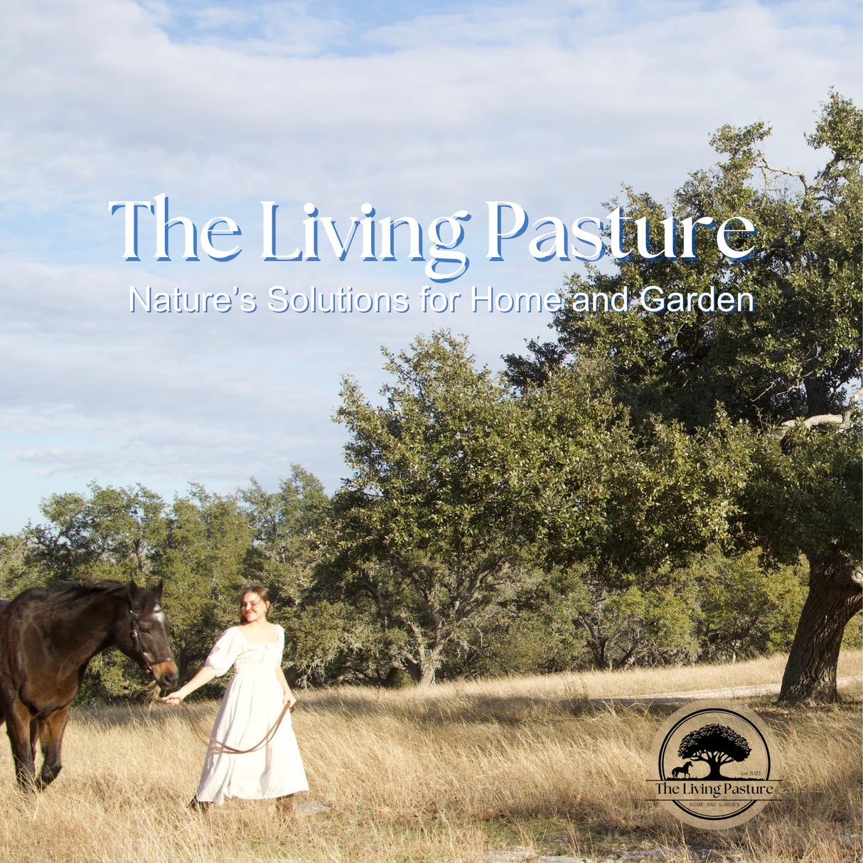 Live Oak Wood Ash - All Natural Clean Sifted Premium MultiUse Hardwood Ashes (2 lbs) The Living Pasture