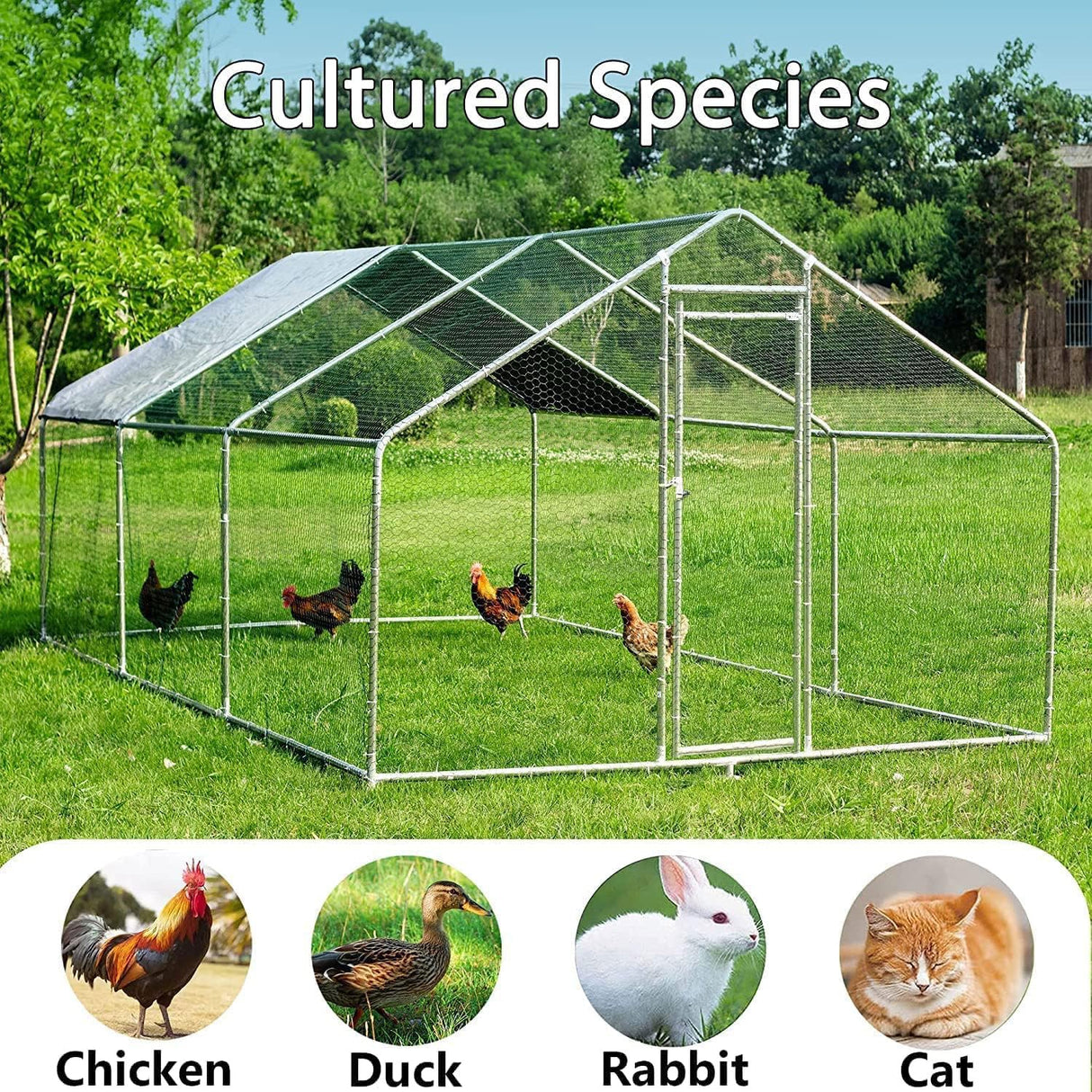 HITTITE Large Metal Chicken Coop with Run, 19.19 x 9.84 x 6.56 ft Walk in Poultry Cage Chicken Run Pen, Outdoor Chicken Runs for Yard with Waterproof & Anti-UV Cover HITTITE