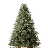 Balsam Hill 7.5 ft Unlit Classic Blue Spruce - Artificial Christmas Tree with 2,960+ Tips, Premium Stand, Storage Bag & Easy Assembly for Indoor Holiday Decorating Balsam Hill